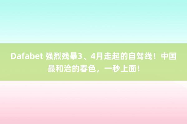 Dafabet 强烈残暴3、4月走起的自驾线！中国最和洽的春色，一秒上面！