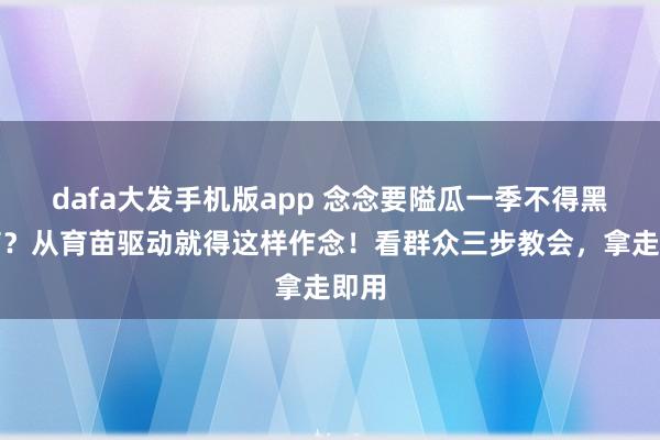 dafa大发手机版app 念念要隘瓜一季不得黑斑病？从育苗驱动就得这样作念！看群众三步教会，拿走即用