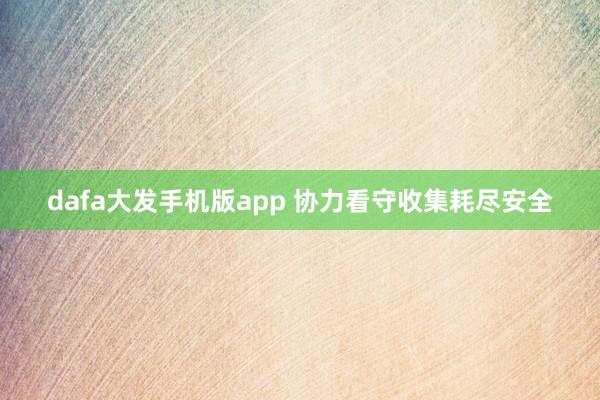 dafa大发手机版app 协力看守收集耗尽安全
