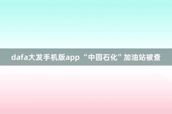 dafa大发手机版app “中园石化”加油站被查