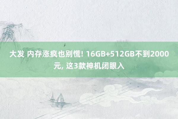 大发 内存涨疯也别慌! 16GB+512GB不到2000元， 这3款神机闭眼入