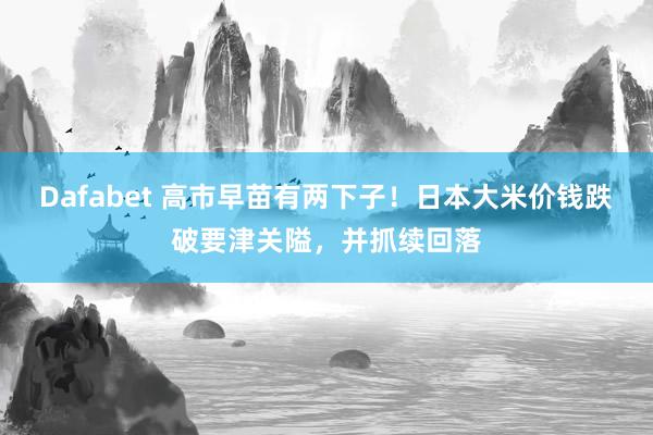 Dafabet 高市早苗有两下子！日本大米价钱跌破要津关隘，并抓续回落
