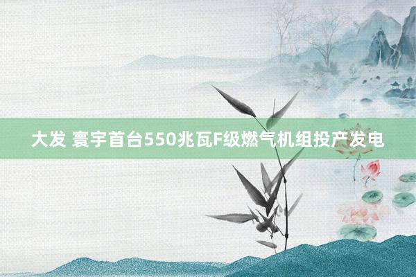 大发 寰宇首台550兆瓦F级燃气机组投产发电