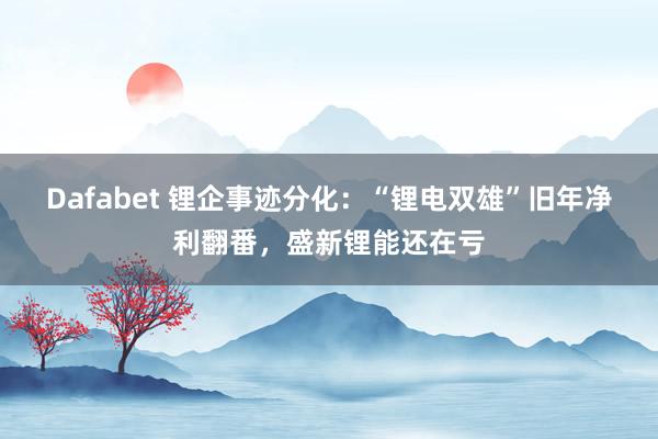 Dafabet 锂企事迹分化：“锂电双雄”旧年净利翻番，盛新锂能还在亏
