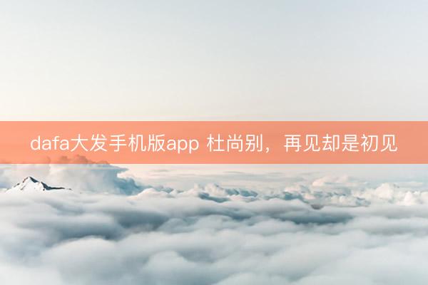 dafa大发手机版app 杜尚别，再见却是初见
