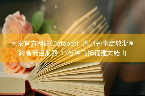 大发官方网站(Dafabet)  温州苍南绽放浙闽跨省低空航路 17分钟飞抵福建太姥山