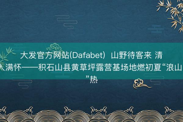 大发官方网站(Dafabet)  山野待客来 清风入满怀——积石山县黄草坪露营基场地燃初夏“浪山”热