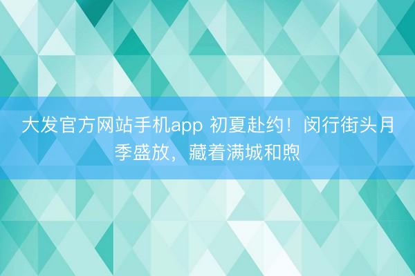 大发官方网站手机app 初夏赴约！闵行街头月季盛放，藏着满城和煦