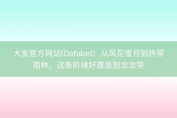 大发官方网站(Dafabet)  从风花雪月到热带雨林，这条阶梯好意思到念念哭