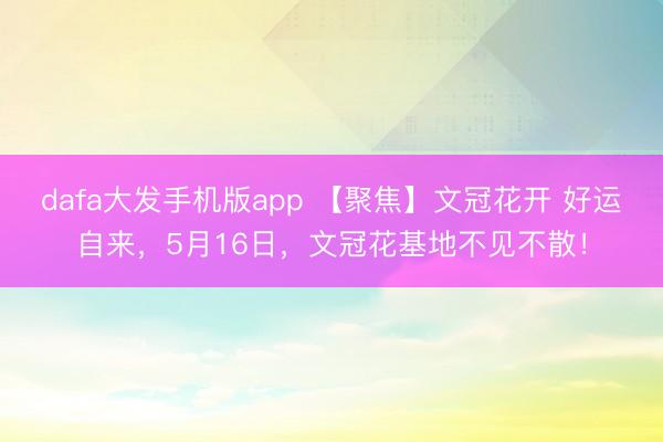 dafa大发手机版app 【聚焦】文冠花开 好运自来，5月16日，文冠花基地不见不散！