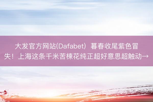 大发官方网站(Dafabet)  暮春收尾紫色冒失！上海这条千米苦楝花纯正超好意思超触动→