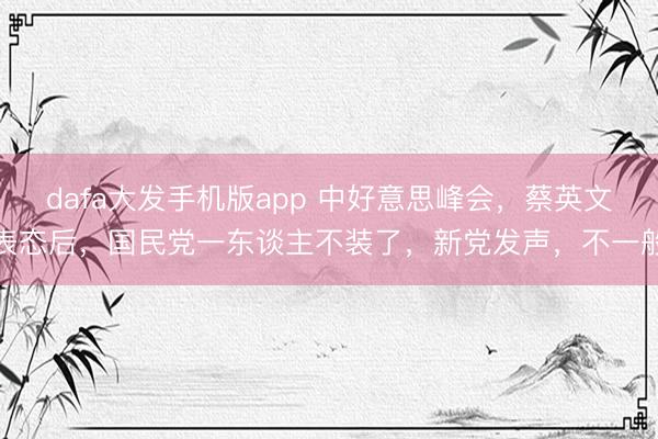 dafa大发手机版app 中好意思峰会，蔡英文表态后，国民党一东谈主不装了，新党发声，不一般