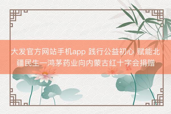 大发官方网站手机app 践行公益初心 赋能北疆民生—鸿茅药业向内蒙古红十字会捐赠