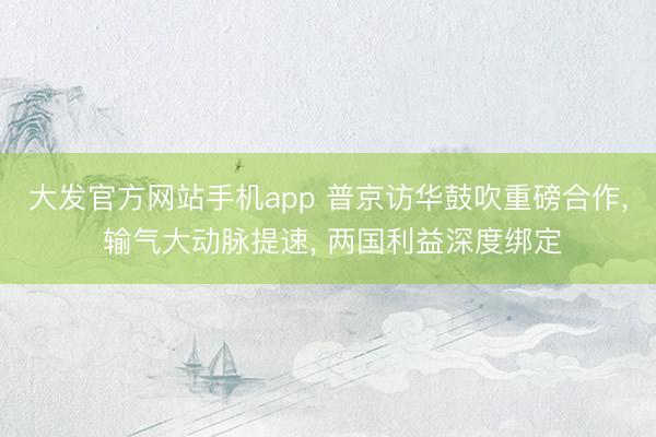 大发官方网站手机app 普京访华鼓吹重磅合作， 输气大动脉提速， 两国利益深度绑定