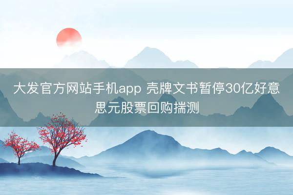 大发官方网站手机app 壳牌文书暂停30亿好意思元股票回购揣测