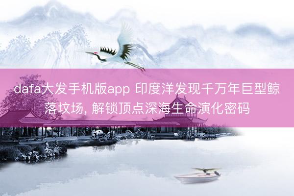 dafa大发手机版app 印度洋发现千万年巨型鲸落坟场， 解锁顶点深海生命演化密码
