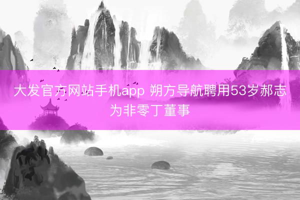 大发官方网站手机app 朔方导航聘用53岁郝志为非零丁董事
