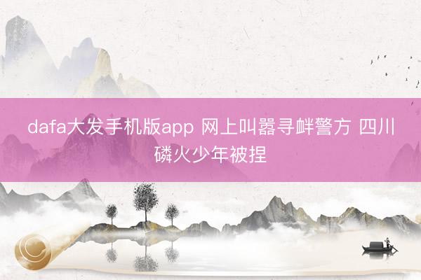 dafa大发手机版app 网上叫嚣寻衅警方 四川磷火少年被捏