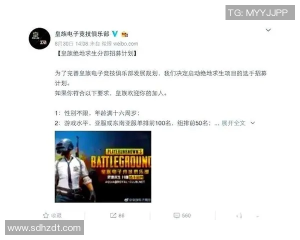 BLG战术排名创新高引发热议电竞圈再掀热潮