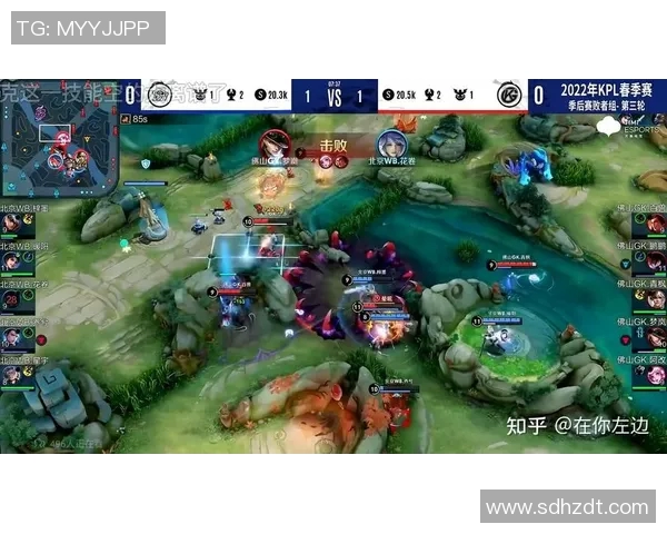 esports数据聚焦BLG战队实力解析王者荣耀中的强者之路与团队协作